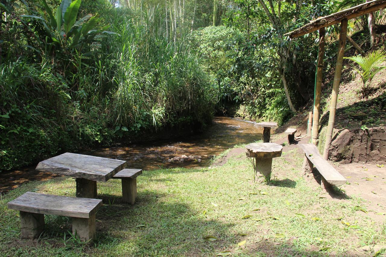 מלון מונטנגרו Casa Campestre Terrazas Del Palmar מראה חיצוני תמונה