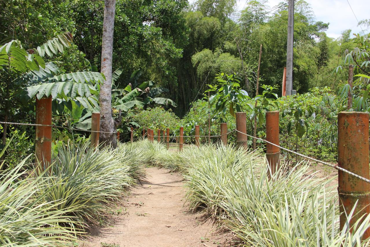 מלון מונטנגרו Casa Campestre Terrazas Del Palmar מראה חיצוני תמונה