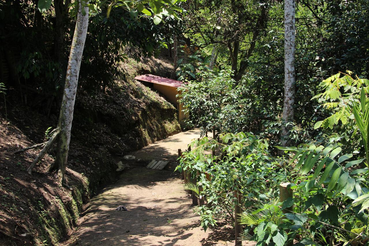 מלון מונטנגרו Casa Campestre Terrazas Del Palmar מראה חיצוני תמונה